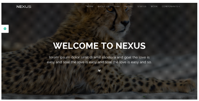 Bootstrap360_nexus