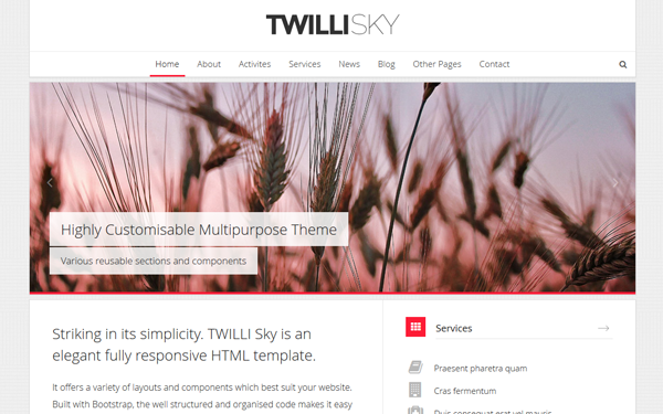 Bootstrap template TWILLI SKY - Responsive HTML Template