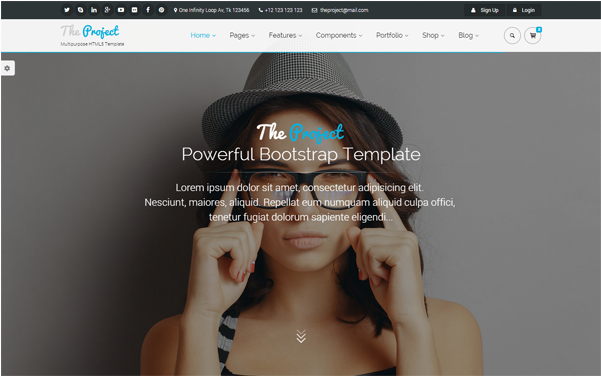Bootstrap template The Project - Multipurpose Template