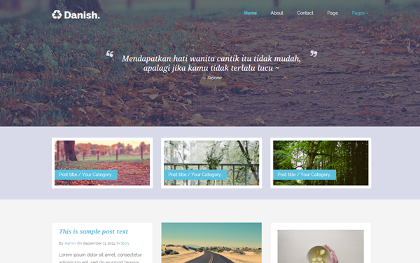 Bootstrap theme Danish - Portfolio & Blog Template