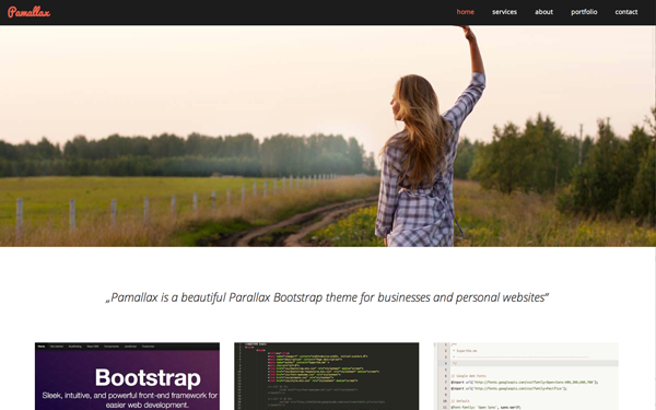 Bootstrap theme  Pamallax - Responsive Parallax One Page