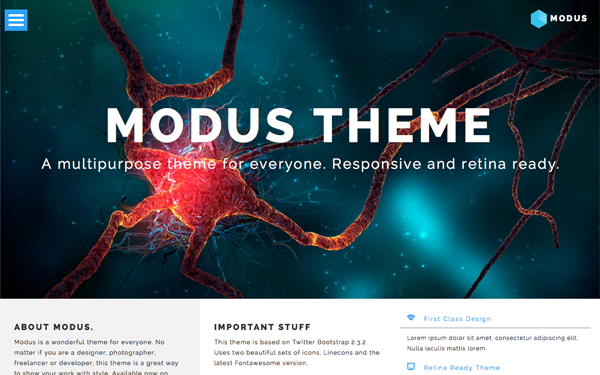 Bootstrap template MODUS - Multipurpose Theme