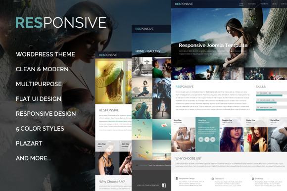 Bootstrap theme Responsive - WordPress Theme