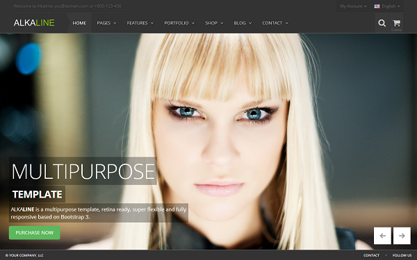 Bootstrap theme Alkaline - Multipurpose Template